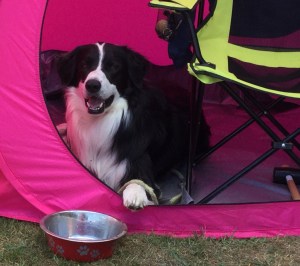 A37B2E19-5014-4FAB-B6F8-74C4B89F88B2